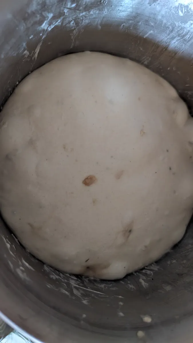Sourdough dough risen in a steel bowl